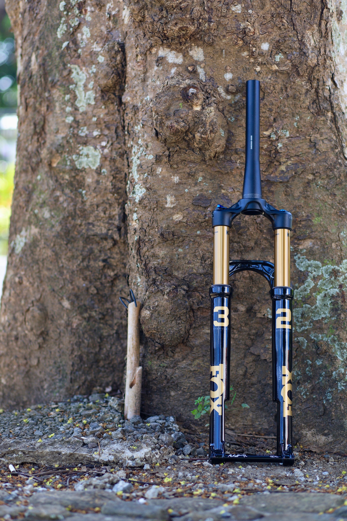 Fox Fork Float 2026 32 29 100mm Shiny Black Kashima