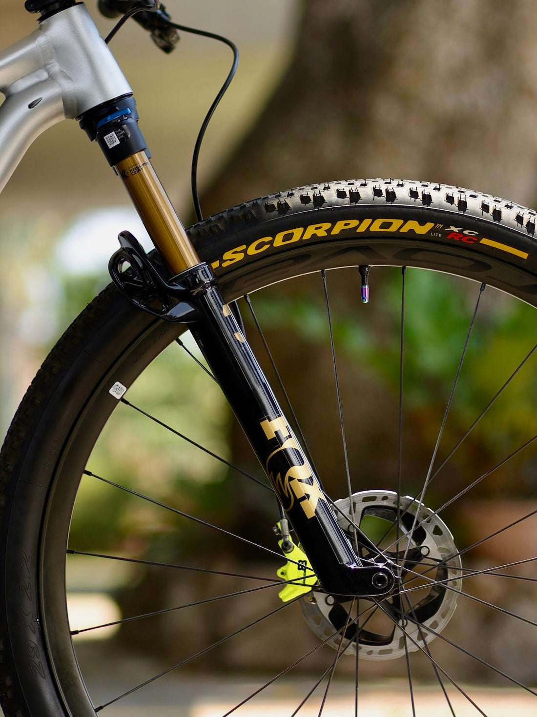 Mountain Bike Suspension Buying Guide: Forks & Rear Shocks Explained