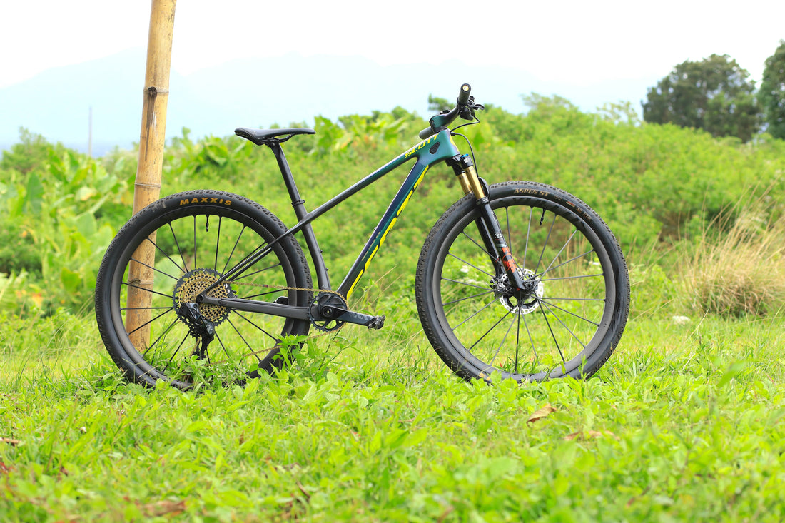 Scott Scale RC Worldcup 29