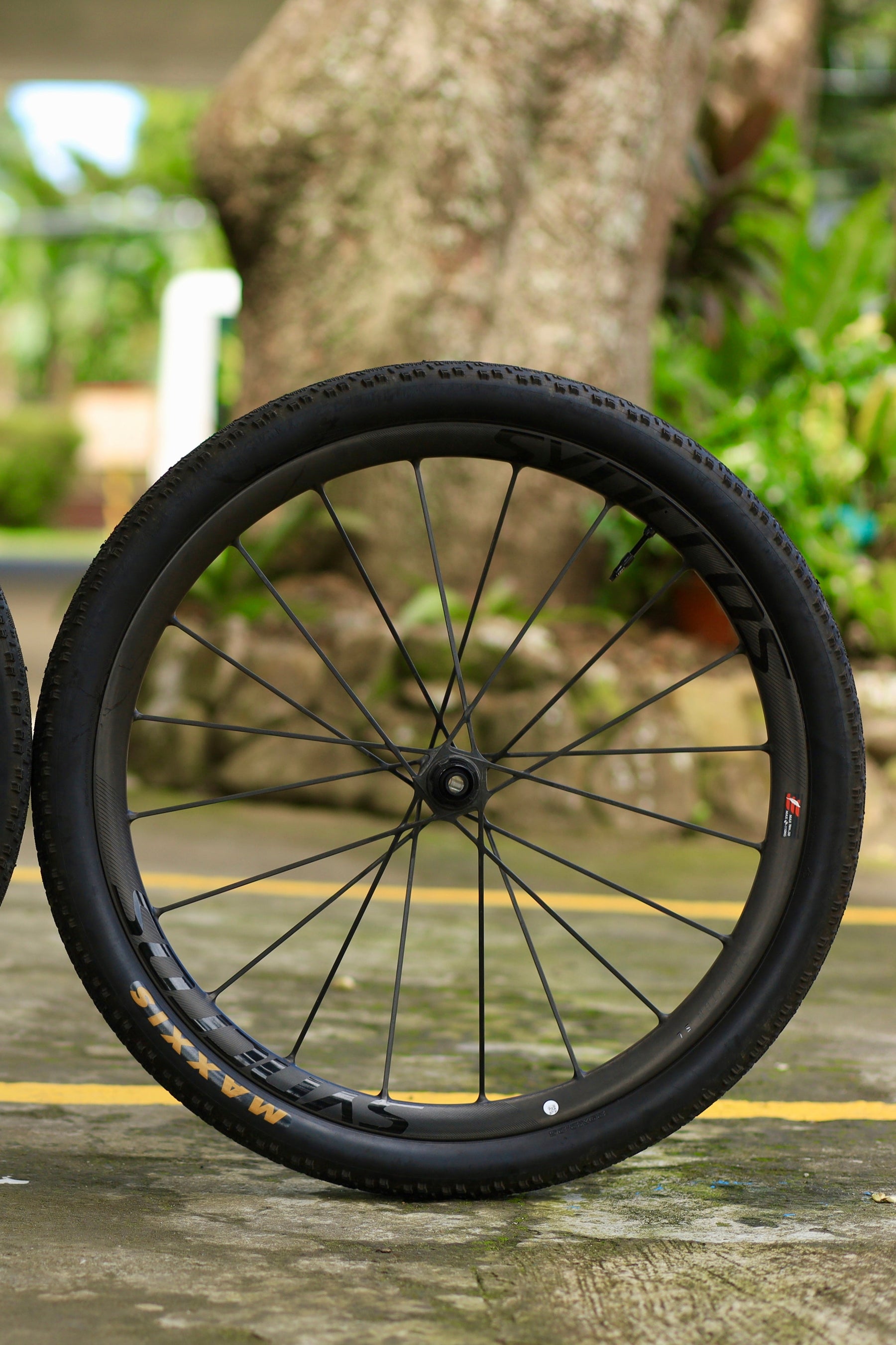 Wheels & Tires
