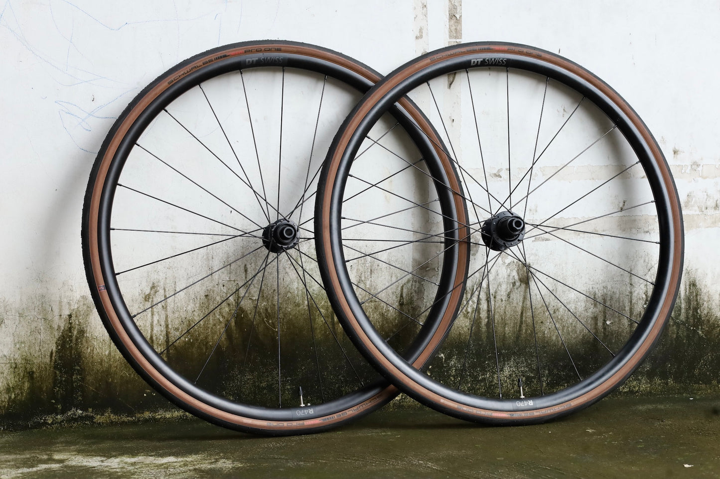 DT Swiss 470 with Schwalbe Pro One TLE