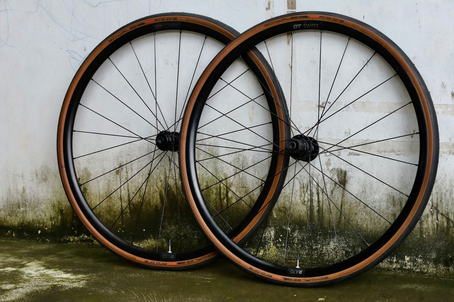 DT Swiss 470 with Schwalbe Pro One TLE