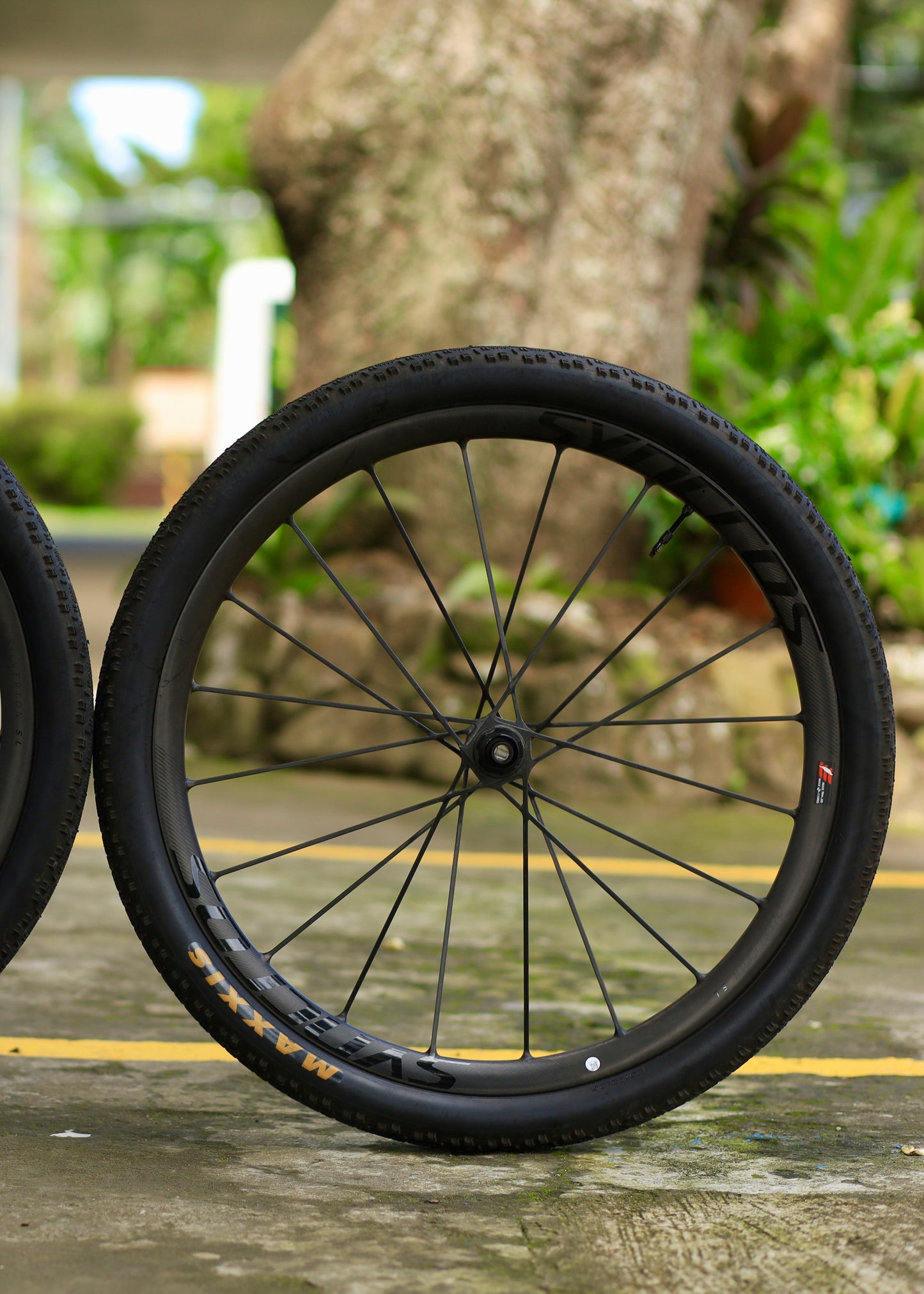 Syncros Silverton SL 30 29 Wheelset
