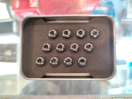 Risk 5x10 Titanium Rotor Bolts