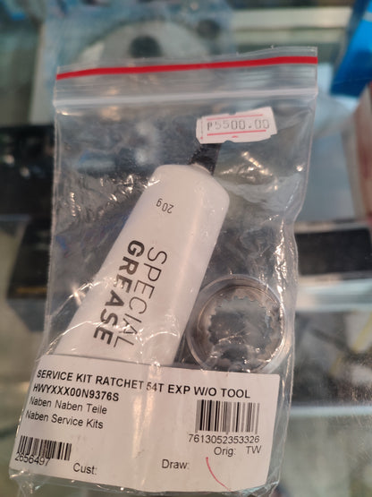 DT Swiss Service Kit 54T Ratchet - EXP - SL - LN - with Special Grease