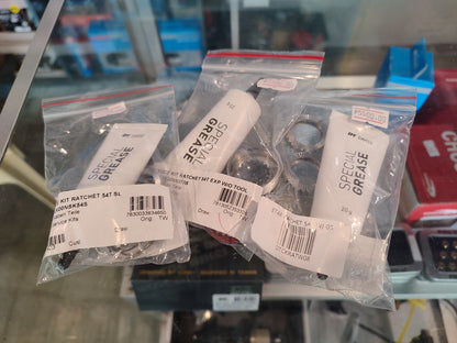 DT Swiss Service Kit 54T Ratchet - EXP - SL - LN - with Special Grease